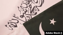 Taliban Pakistan Flags