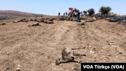 Diyarbakır’ın Çınar ilçesinde bu yıl 20 Haziran’da başlayan, daha sonra Mardin’in Mazıdağı ilçesine yayılan yangın 15 kişinin ölümüne ve çok sayıda hayvanın telef olmasına neden olmuştu.