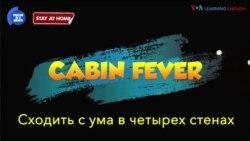 «Английский за минуту»: Cabin Fever – сходить с ума в четырех стенах